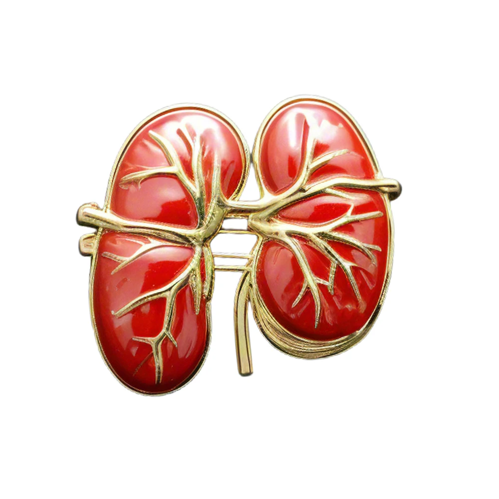 الطبية الكلى المينا بروش دبوس المسالك البولية الطب مجوهرات على ظهره شارة التلبيب هدايا للطبيب ممرضة