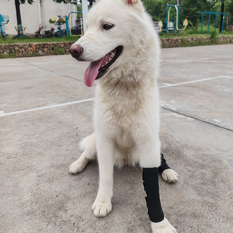 Dog leg fracture fixation brace Pet front and rear leg braces Auxiliary strap Dog knee brace Injury protective cover