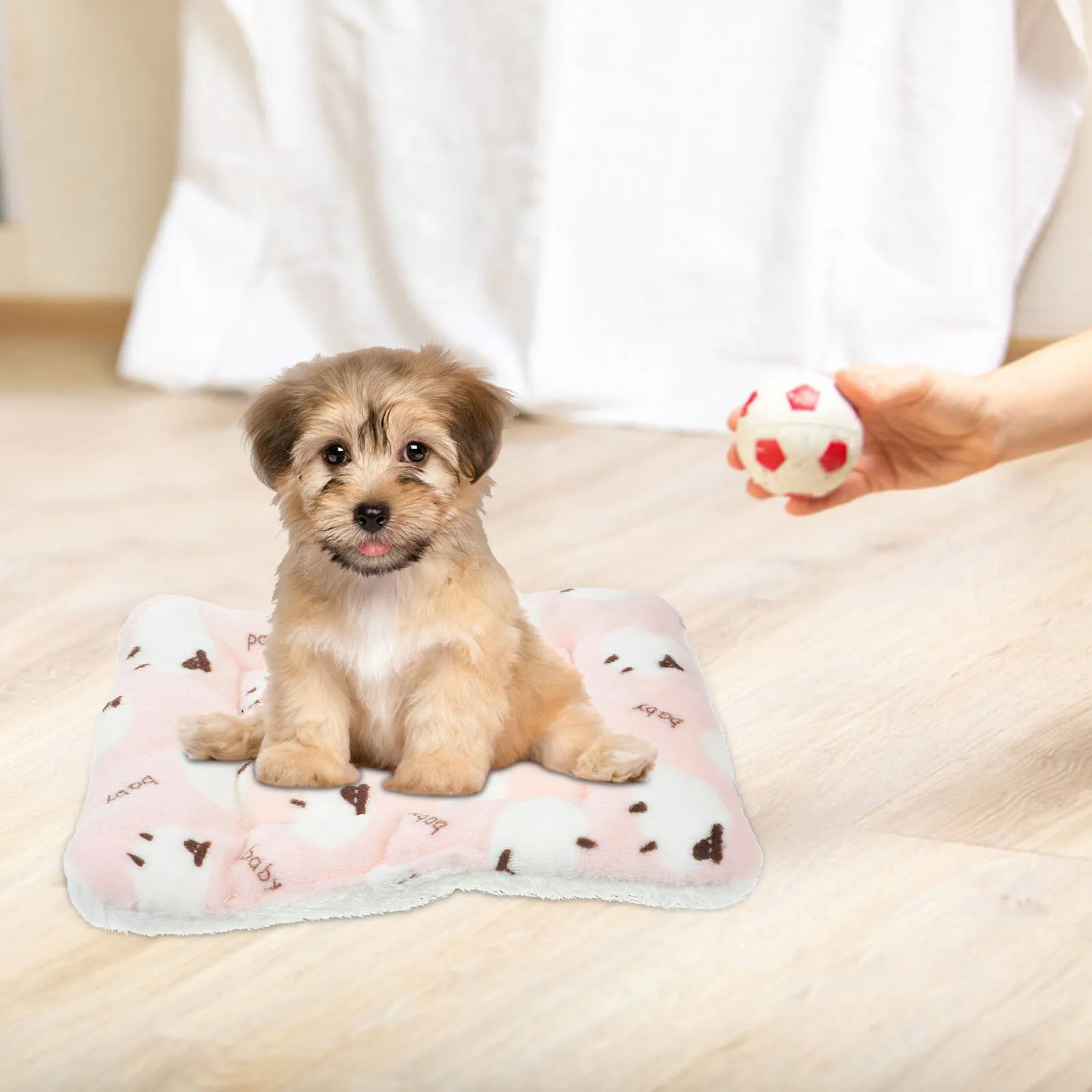 

2Pcs Small Animal Bed Mat Thick Insulated Warm Sleeping Mat Guinea Pig Cage Blanket Pet Sleeping Pad Guinea Pig Blanket