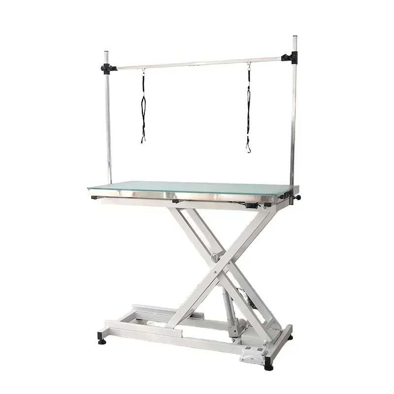 Electric LED Light Veterinary Grooming Table for Dogs Pet Table with Lift for Operations and Diagnoses