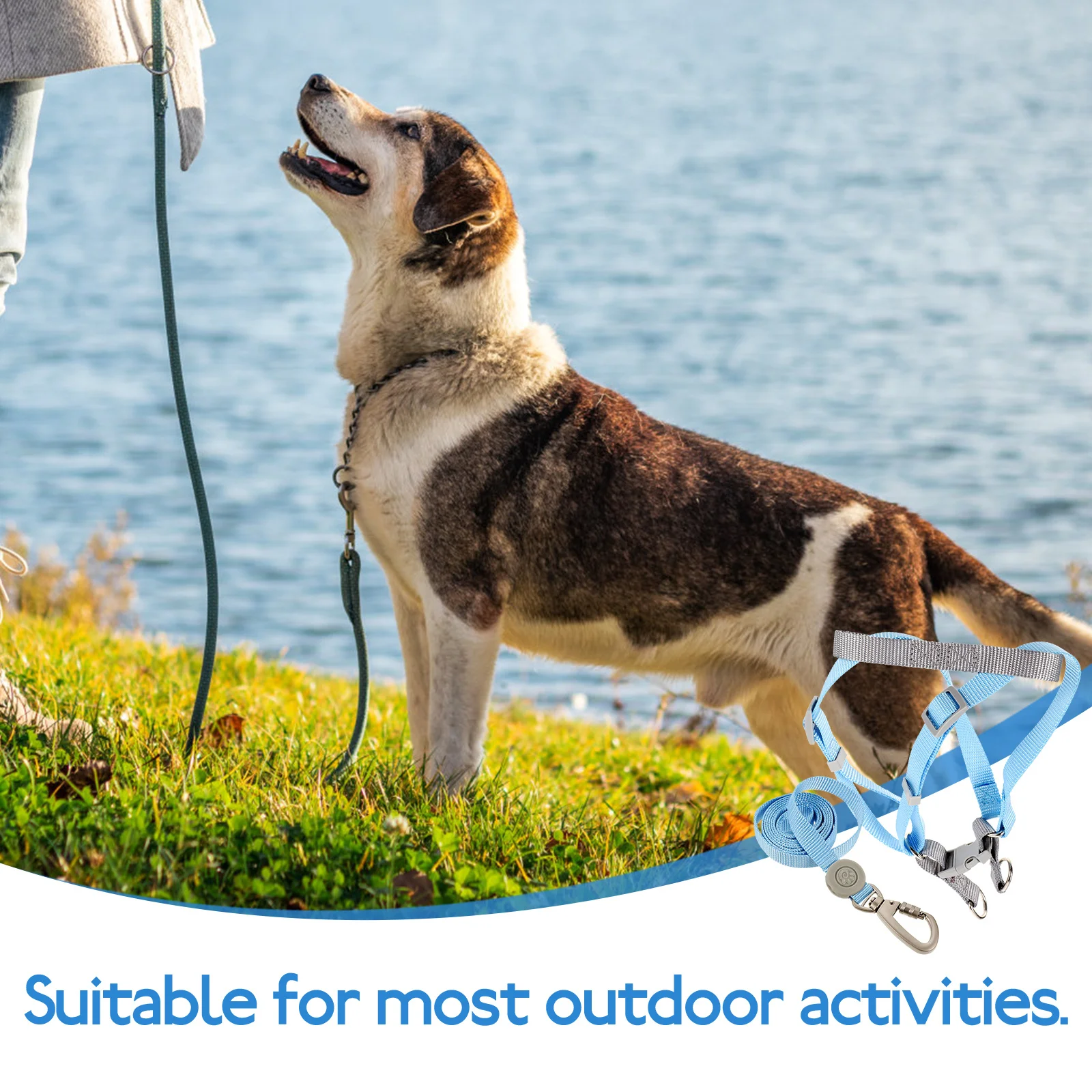 

1Set Small Dog Harness and Leash Set Adjustable Puppy Harness Lightweight Durable Dog Walking Leash Harnesses and Leashes