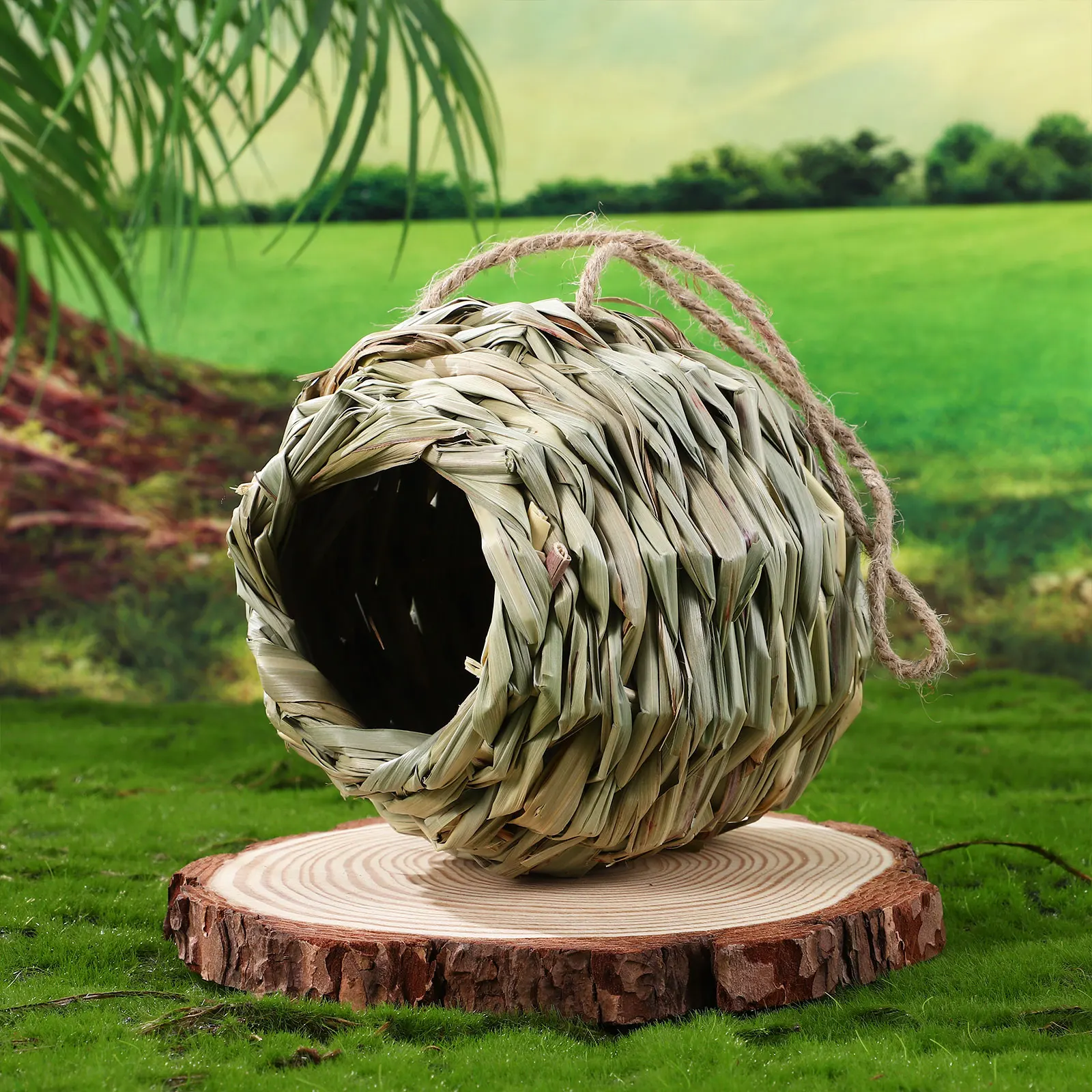 

4 Pcs Bird Nest Toy Hummingbird for Cage Parakeet Nests Outdoors Hanging House Houses Spherical