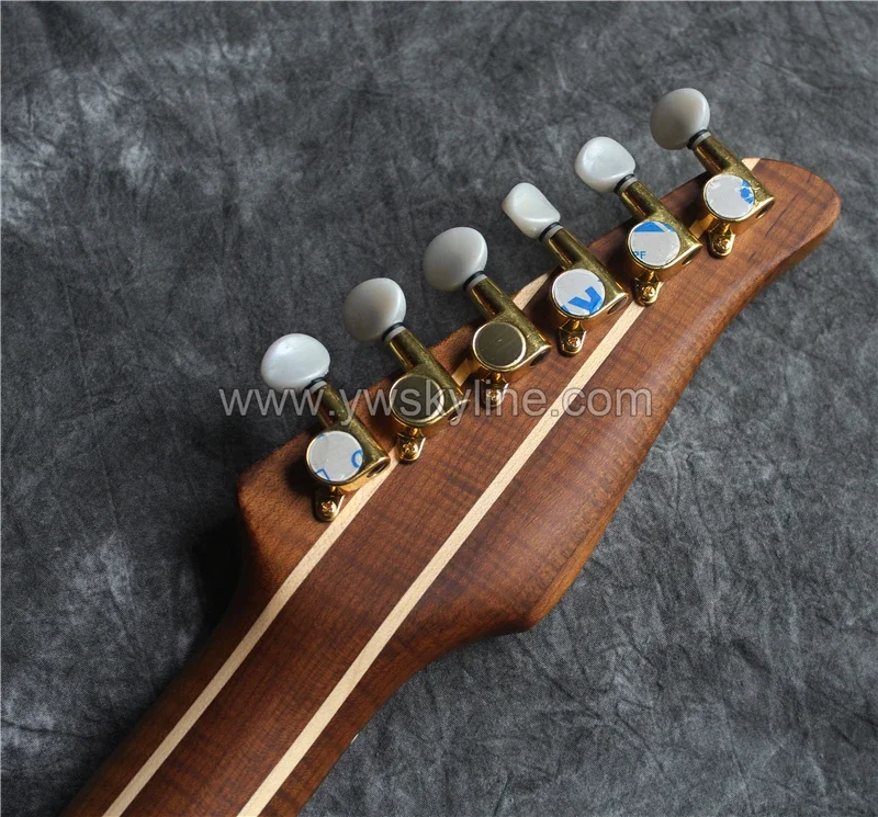 High Quality Solid Alder Wood Electric Guitar