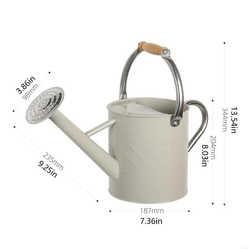 5 Liter Watering Can with Perforated Sprinkler Rose and Detachable Nozzle for Indoor Greenery and Routine Garden Care B03E