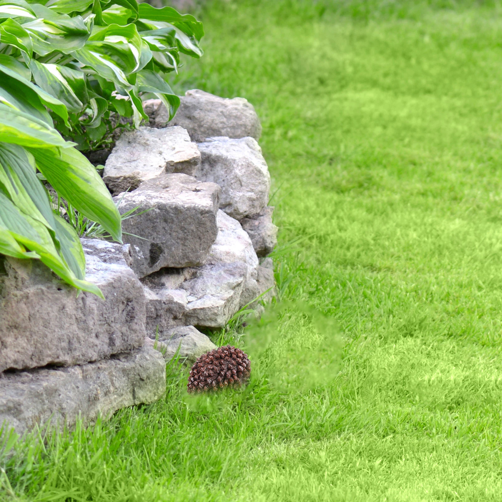 

Pinecone Key Box Hidden Holder Hide outside for Garden Storage Case Container Hiding Lockbox Keys Outdoor