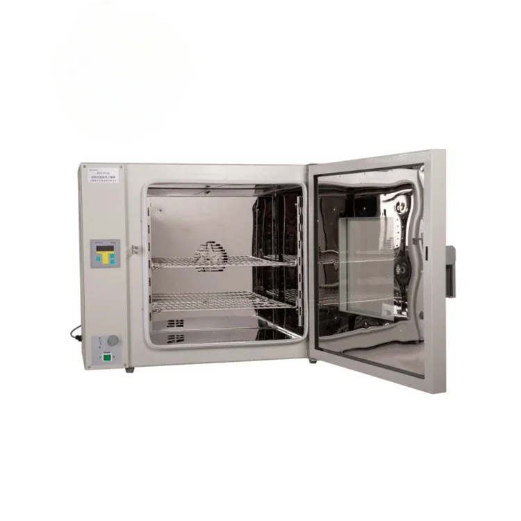 Hot Sale High Quality High Selling Drying Oven Electric Motors Drying Oven for Laboratory