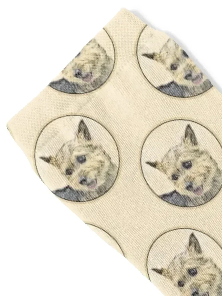 Norwich Terrier Socks winter custom sports Climbing Stockings Socks Men's Women's