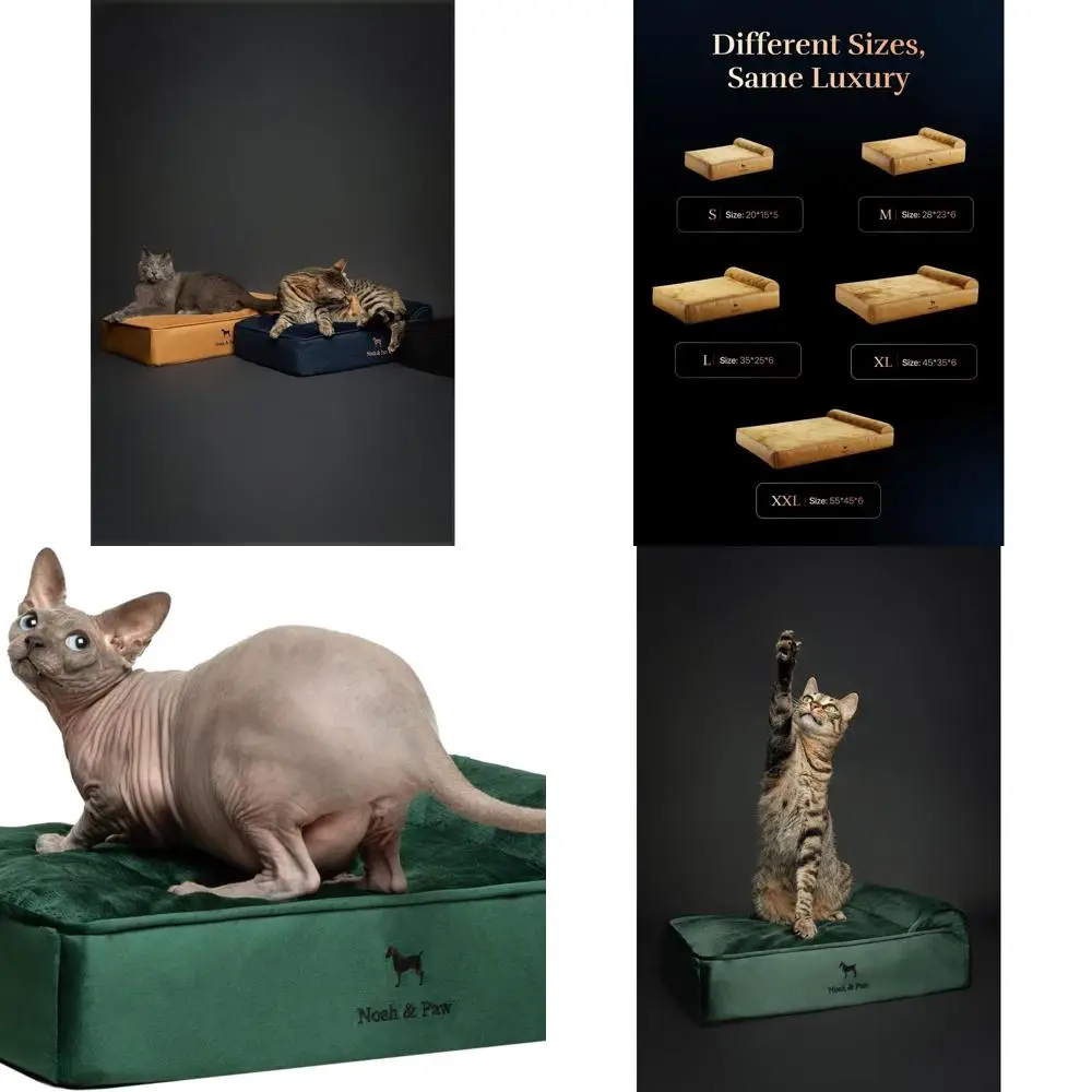 

Ортопедическая кровать для собак из гелевой пены с эффектом памяти, 20x15x6,5, водонепроницаемая и моющаяся кровать для кошек, бархатный чехол в комплекте