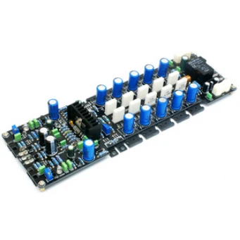 

LME49810 Equipped with 400W Mono DC Servo Class B Power Amplifier Board (without Radiator)