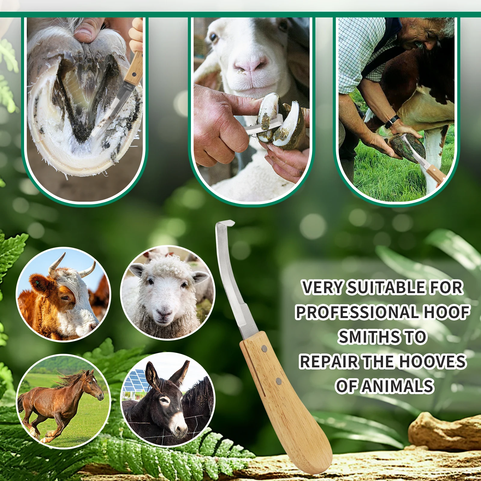 1Pc Pisau Kuku Kuda Sapi Baja Tahan Karat Tipe Pengait Pedikur Domba Dengan Gagang Kayu Alat Pisau Kuku Perlengkapan Peternakan Ternak