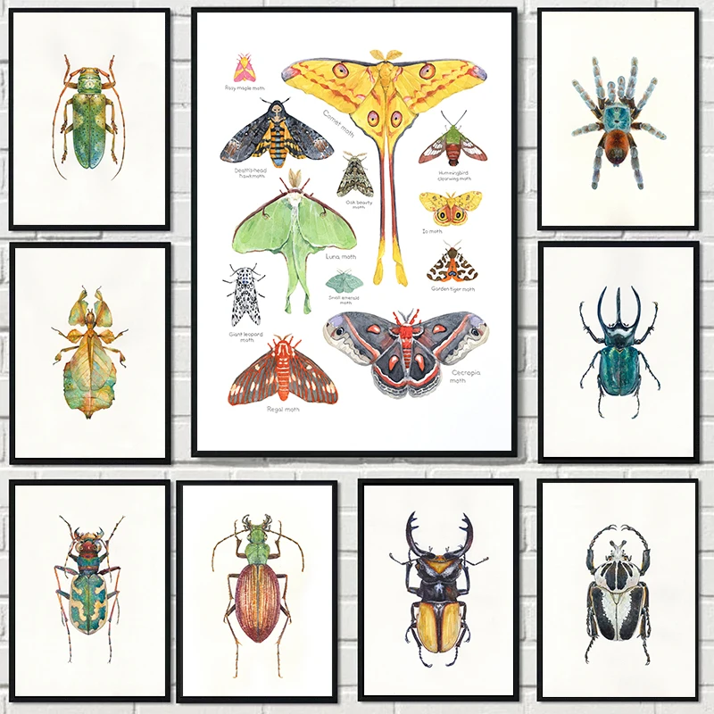Insects Beetles Bugs Moth Chart Watercolor Posters and Prints Canvas Painting Modern Wall Art Picture for Living Room Home Decor