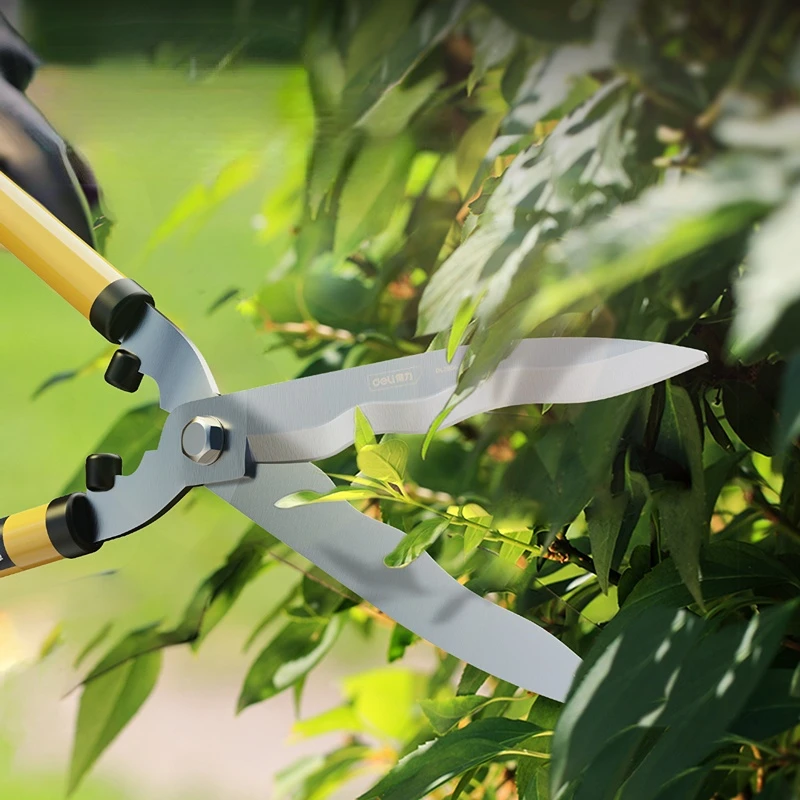 Imagem -03 - Deli 21 Green Handle Garden Hedge Shears Alto Carbono Aço Shear Pruner Multifunções Fruit Tree Ramos Bonsai Tesoura