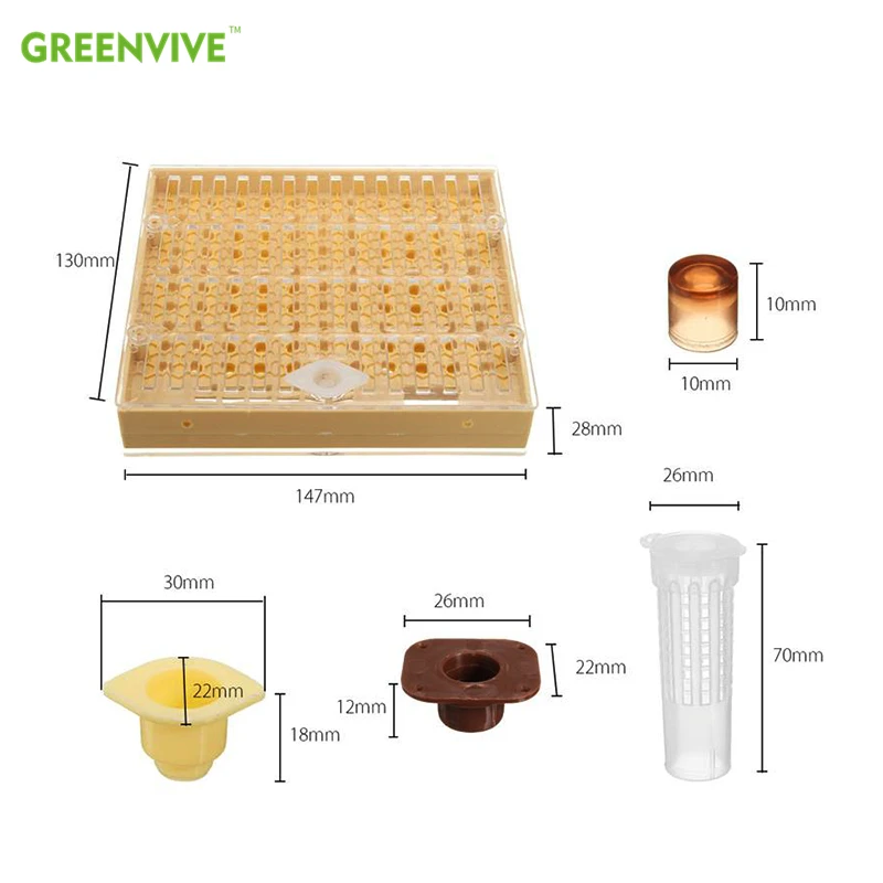 Kit cangkir sel lebah kandang Ratu sistem pemeliharaan Ratu Greenvive Ratu Set pemeliharaan lebah kotak budidaya 110 buah plastik