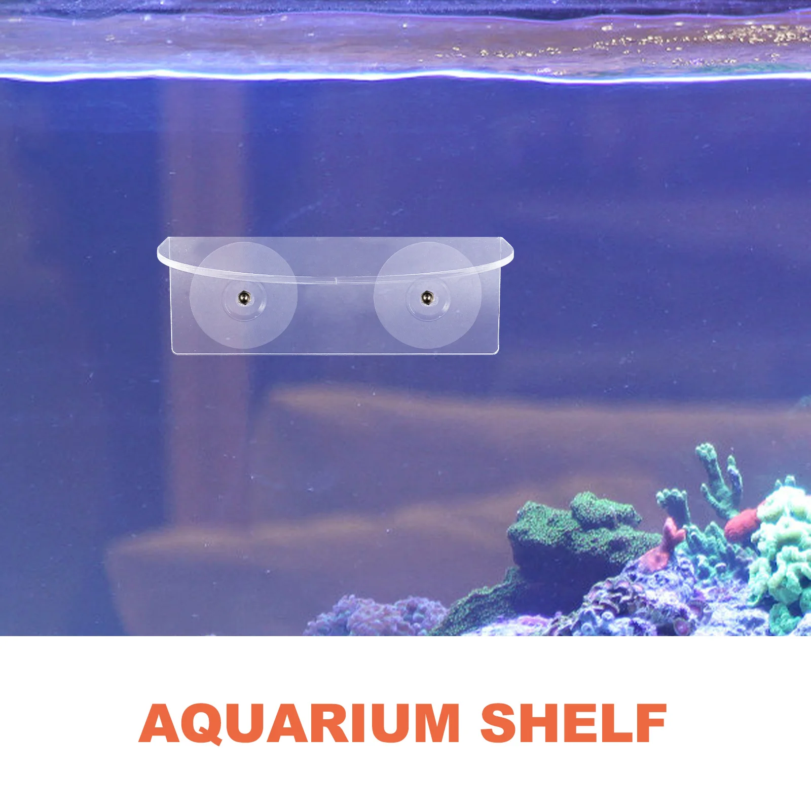 

1Set Acrylic Aquarium Plant Holder Transparent Fish Tank Shelf Durable Support Bracket with Suction Cups Practical Aquarium