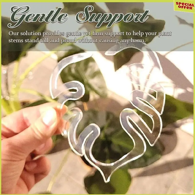 

A34R 2 шт. Monstera Grapple Monstera лист поддержка растений черепаха панцирь бамбуковый набор зажимов уникальная и эстетичная поддержка растений Monstera