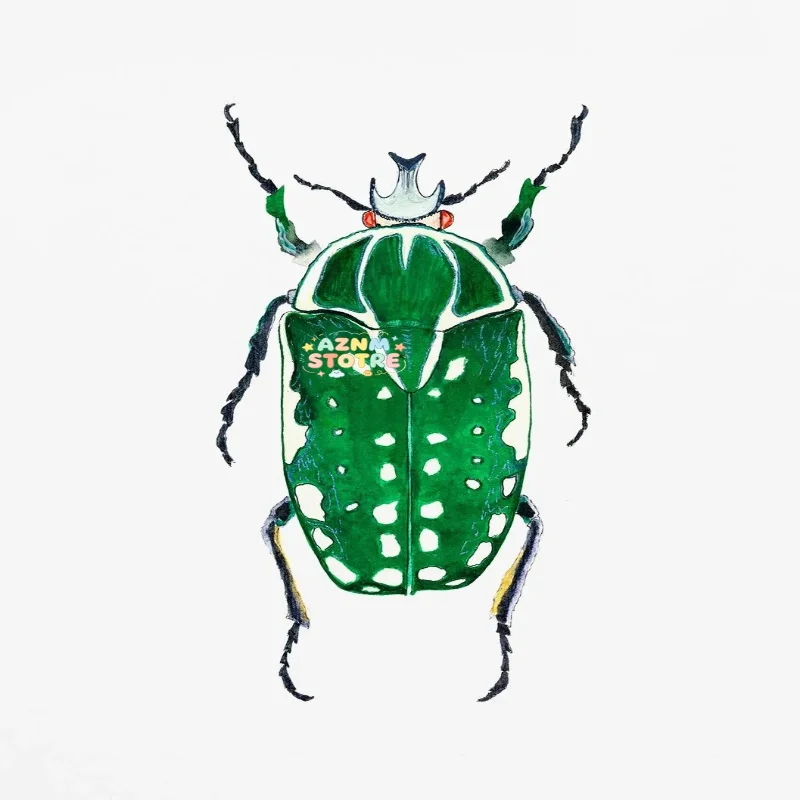 Watercolor Bug Beetle Ladybug Poster Print Colorful Insect Canvas Painting Nature Wall Art Picture Nursery Kids Room Home Dec