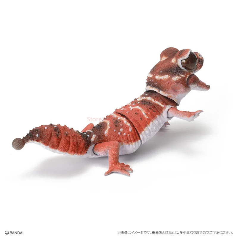 Bandaitwisted Egg Biological Map Wall Lizard Tailed Leopard Gecko Lizard Tumor Tailed Guard Lespetit Simulation Movable Figure