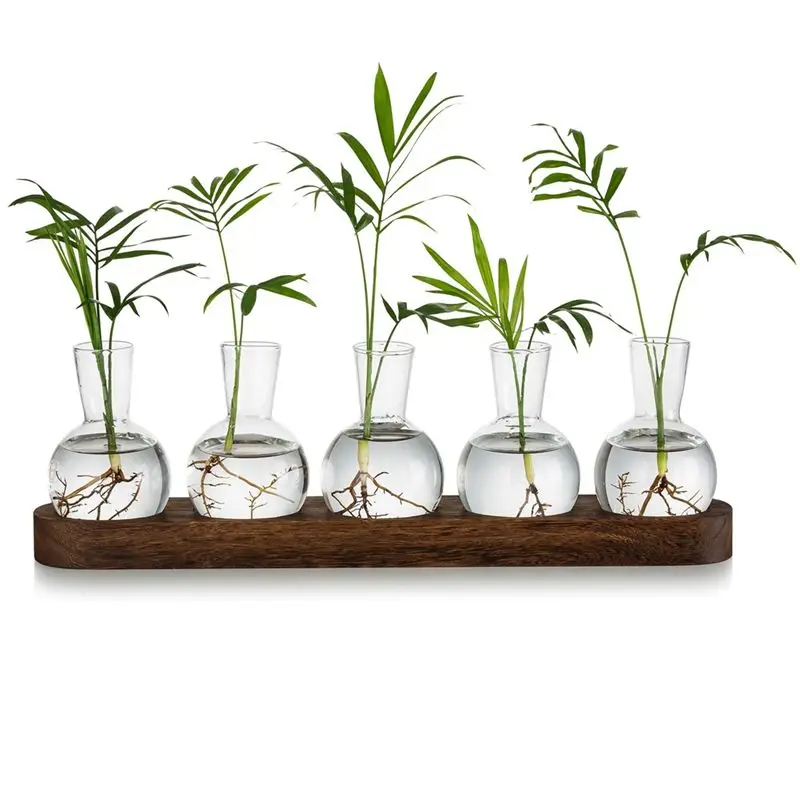 AT21-Plant Terrarium Propagation Station, Glass Planter Bulb Vase With Wooden Tray, Modern Bud Vases For Office Desktop