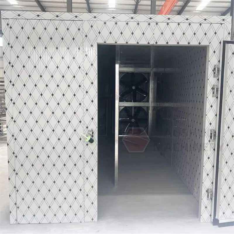 

Customized Mango Blueberry Apple Drying Oven Automatic High Output Noodle and Petal Drying Machine