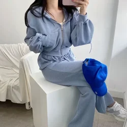 Women Sports Suits Autumn 2 Piece Sets Candy Color Zipper Hooded Sweater Jacket + Casual Pants Suits Loose Tracksuits 2024 Fall