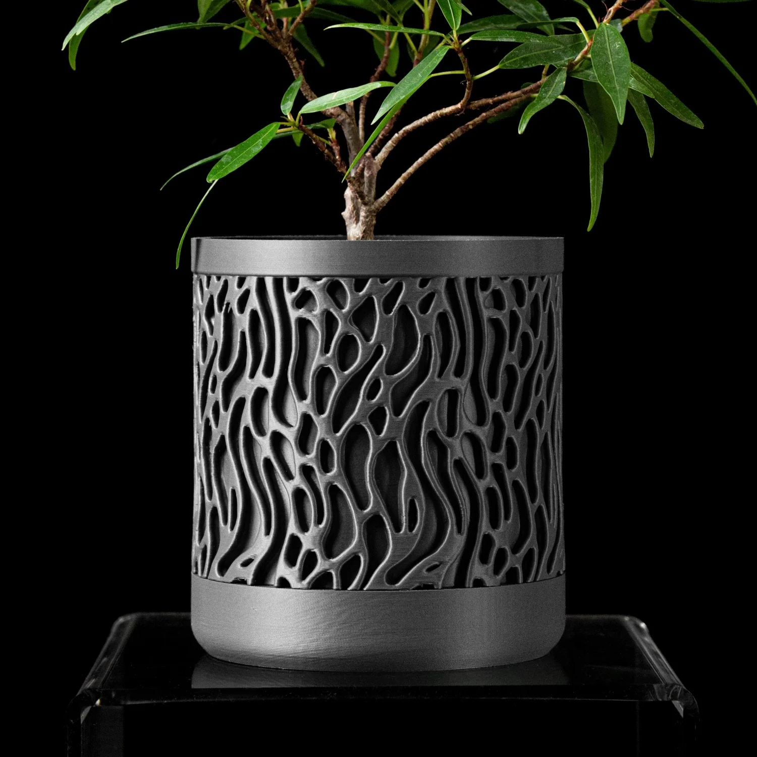 

Modern Minimalist 3D Printed Plant Pot – Biodegradable Flower Planter for Home Decor, Eco-Friendly Sustainable Gift (Grove)