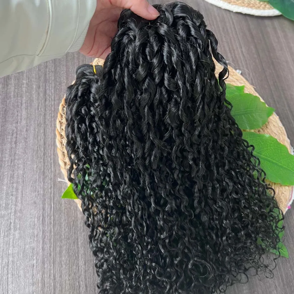 Best Burmese Pixie …