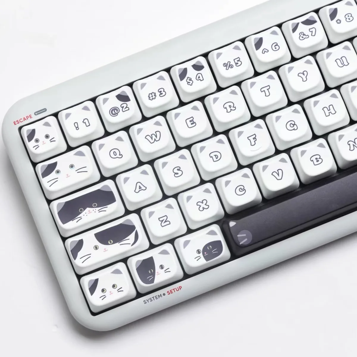 Aulidtech Black White Cat Head keycaps MAO Profile PBT 134 Keys for Mechanical Keyboard Cherry/ XDA/OEM/MDA