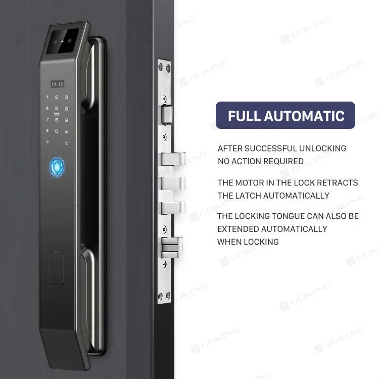 Intelligent Automatic Fingerprint Door Lock Without Built-in Face Recognition Function, Suitable for Outdoor Doors