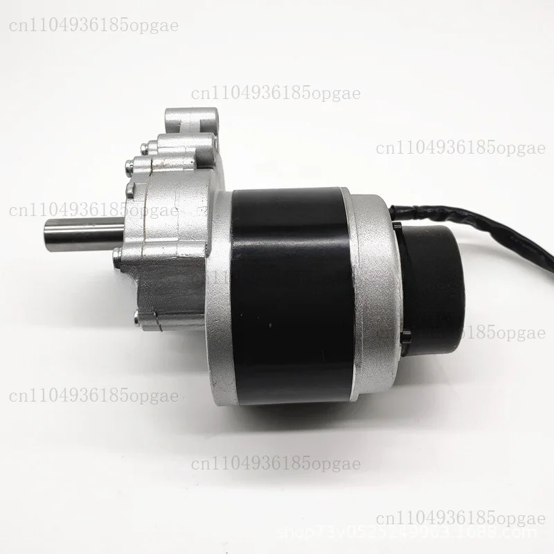 250w 350W 24v 75rpm 120rpm 160rpm Low Speed Brush Motor With Electromagnetic Brake, Wheel Chair, Brushed Motor