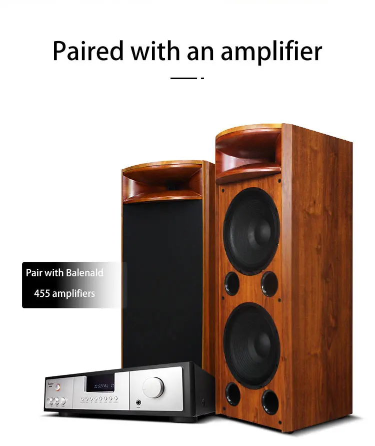 Balenald H18 floor-standing solid wood horn dual 12-inch loudspeaker plus amplifier hifi combo audio