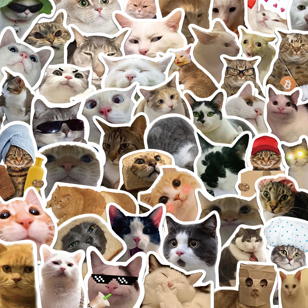 50 Stück süße Katzen, lustige Graffiti-Aufkleber, Cartoon-DIY-Laptop, Koffer, Sammelalbum, Skate, Laptop, Fahrrad, wasserfeste Aufkleber