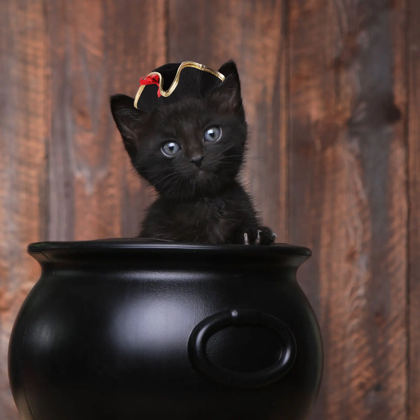 

Pirate Style Durable Halloween Pet Accessory Dog Cat Decor Wear Decorative Puppy Hat resistant Polyester Dog Hat