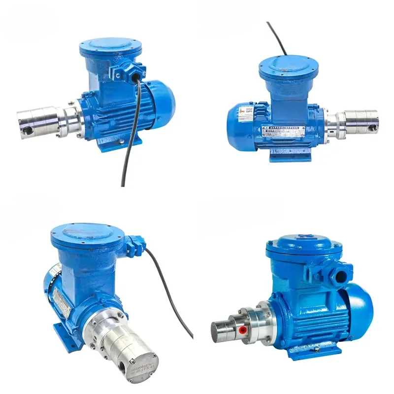 CIXI Stainless Steel PTFE Seal Small Flow Explosion Proof Zero Leak Chemical Magnetic Gear Pump