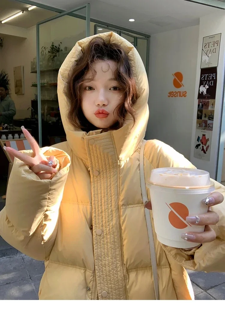 Parka corta con capucha coreana, Chaqueta informal de algodón, abrigo holgado para estudiantes, ropa acolchada gruesa y cálida para mujer