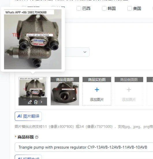 

Triangle pump with pressure regulator CYP-13AVB-12AVB-11AVB-10AVB