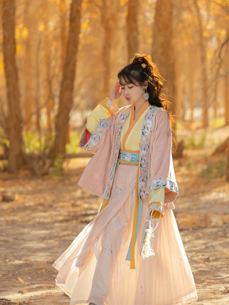 

Original Tee-Piece Song Dynas Hanfu Set by Liu Zifei Velvet Embroidered Button-Up irt And Coat for Women