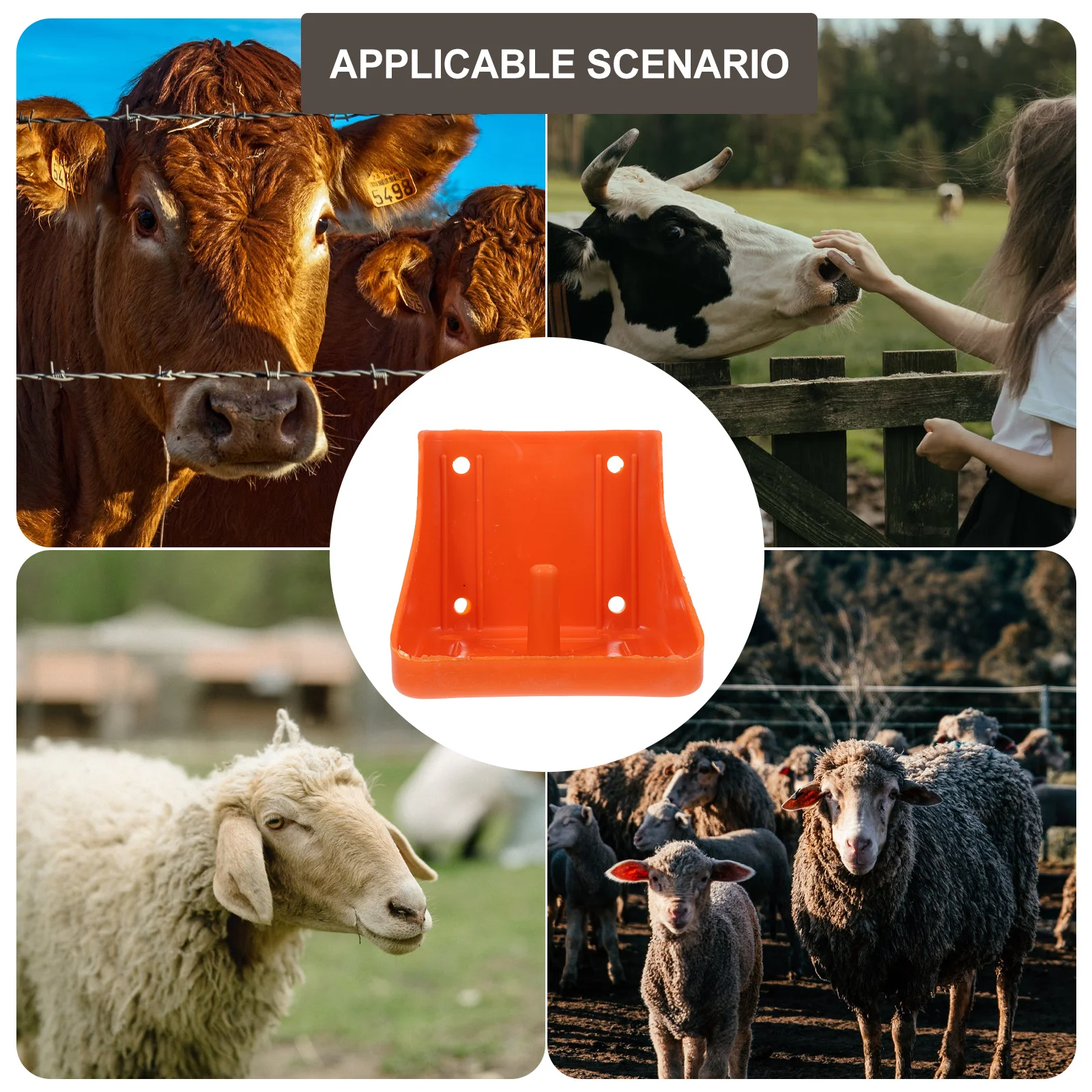 

1Pcs Animal Husbandry Supply Livestock Feed Pan Durable Salt Block Feeder Practical Nutrition Lick Brick Holder