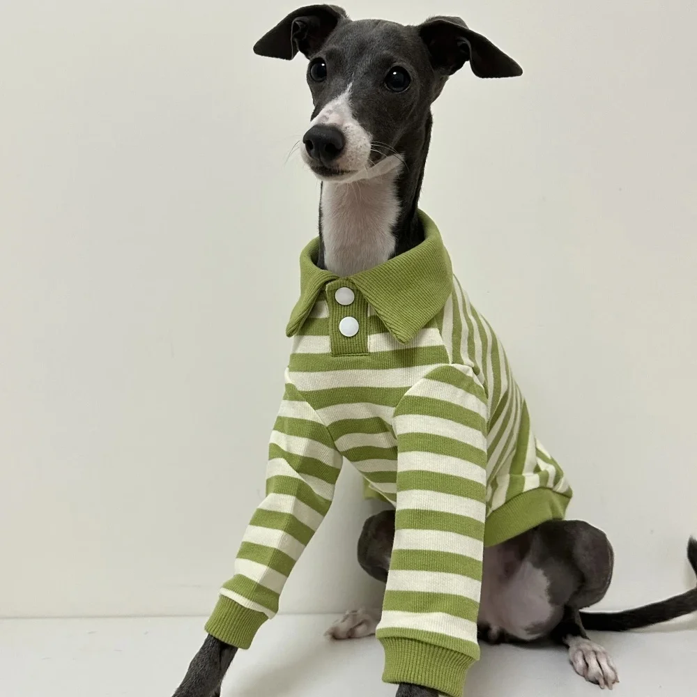 Green Striped Polo Shirt for Dogs in Spring Soft Elastic Cotton Coat for Bedlington Italian Greyhound Soft Loungewear in Autumn view 5