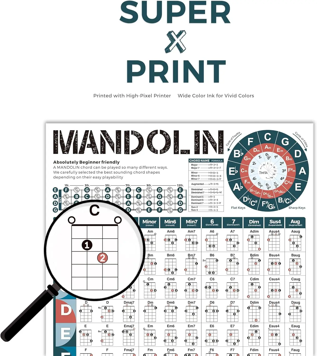 Mandolin Chord Chart Poster Perfect Mandolin Learning Aid Circle of Fifths Wall Art Music Classroom Decor