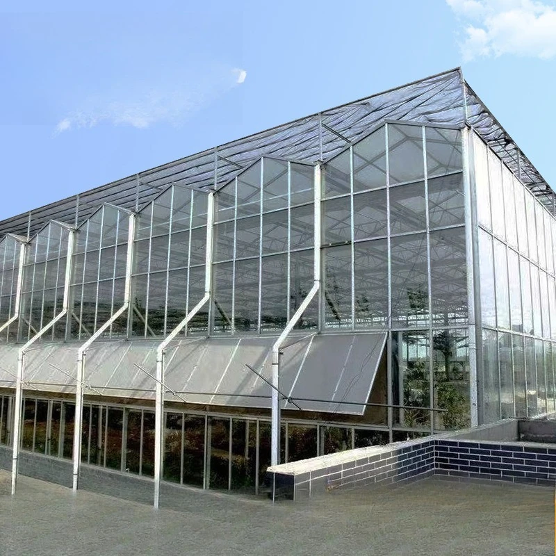 إطار دفيئة زجاجي 2025، دفيئة ذكية، دفيئة تظليل، دفيئة خضروات وزهور