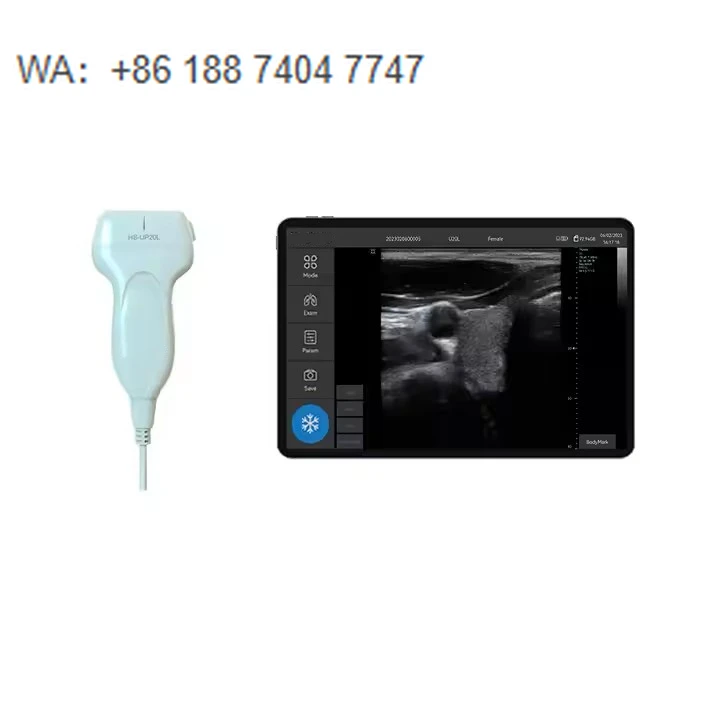 Free Shipping Handheld Pocket USB Linear Ultrasound Scanner with Software Veterinary Instrument