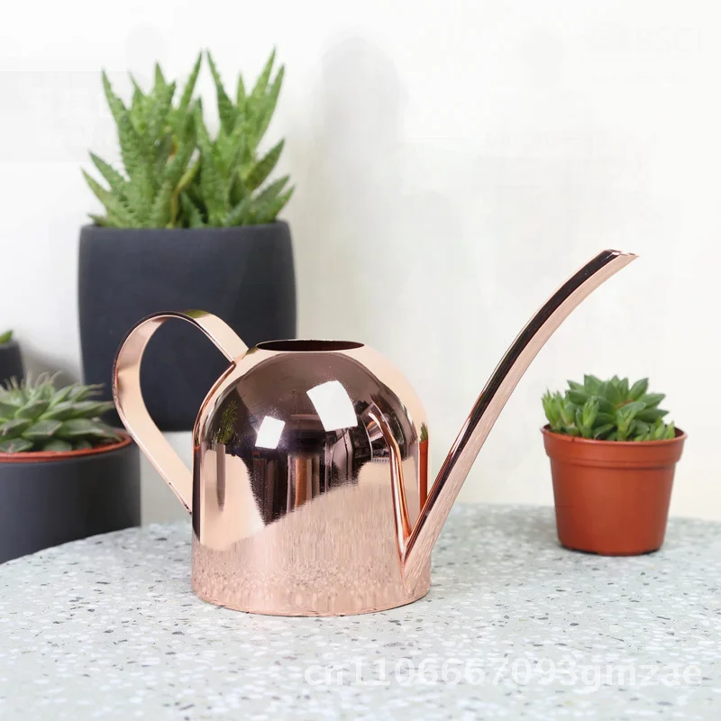 

Лейка из нержавеющей стали, 500 мл, металлический садовый чайник с длинным ртом для балкона и ухода за домашними растениями, черный, красный, медь