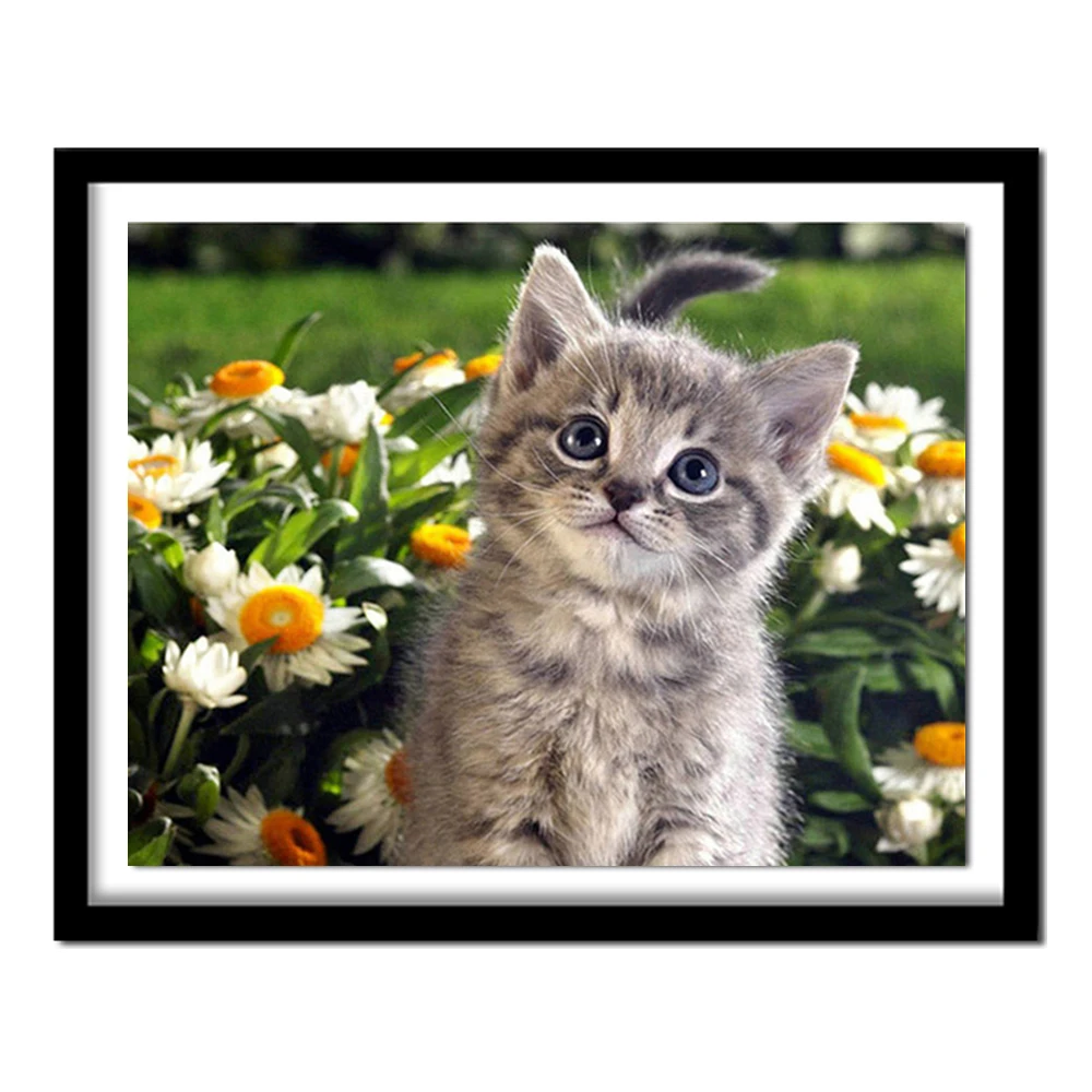 Diamond Embroidery Full Persian Cat Diamond Painting Cross Stitch Diamond  Of A Cat Paintings By Numbers On Canvas