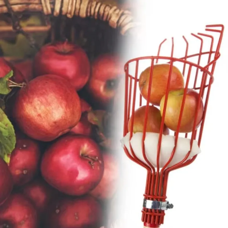 Metal Greenhouse Camping Fruits Picking Tool For Apples Pears Peaches Oranges Catcher Picker Without Telescopic Pole