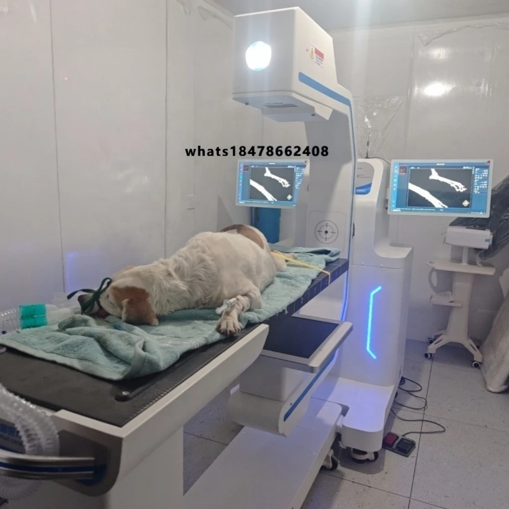 Compact veterinary cone-beam CT scanner for animal scanning equipment for examinations of cats and dogs in pet clinic
