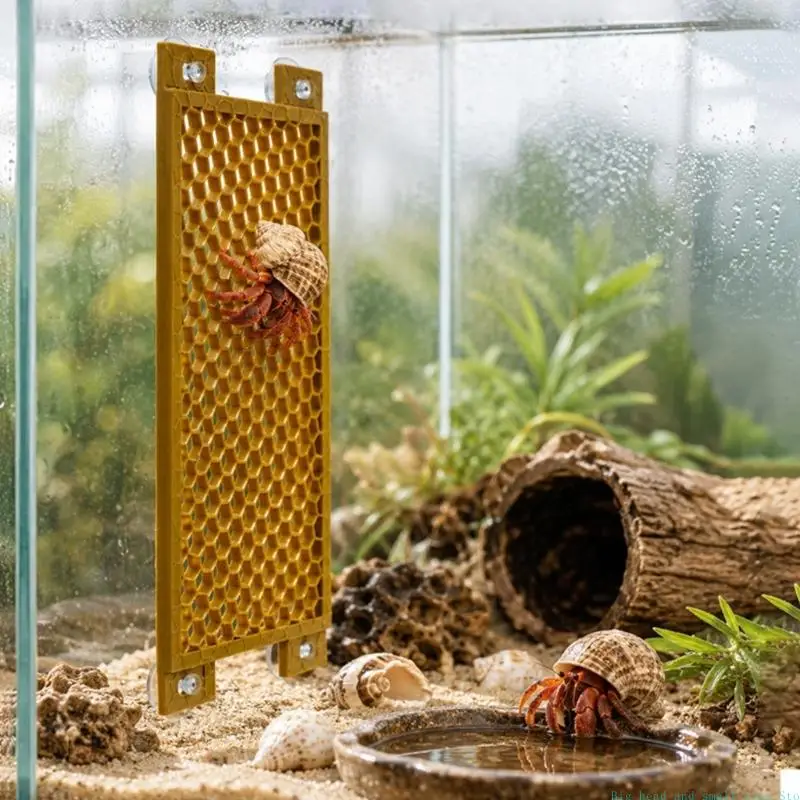 581C Vertical Activity Wall Panel in PETG for Enclosure Mount Use
