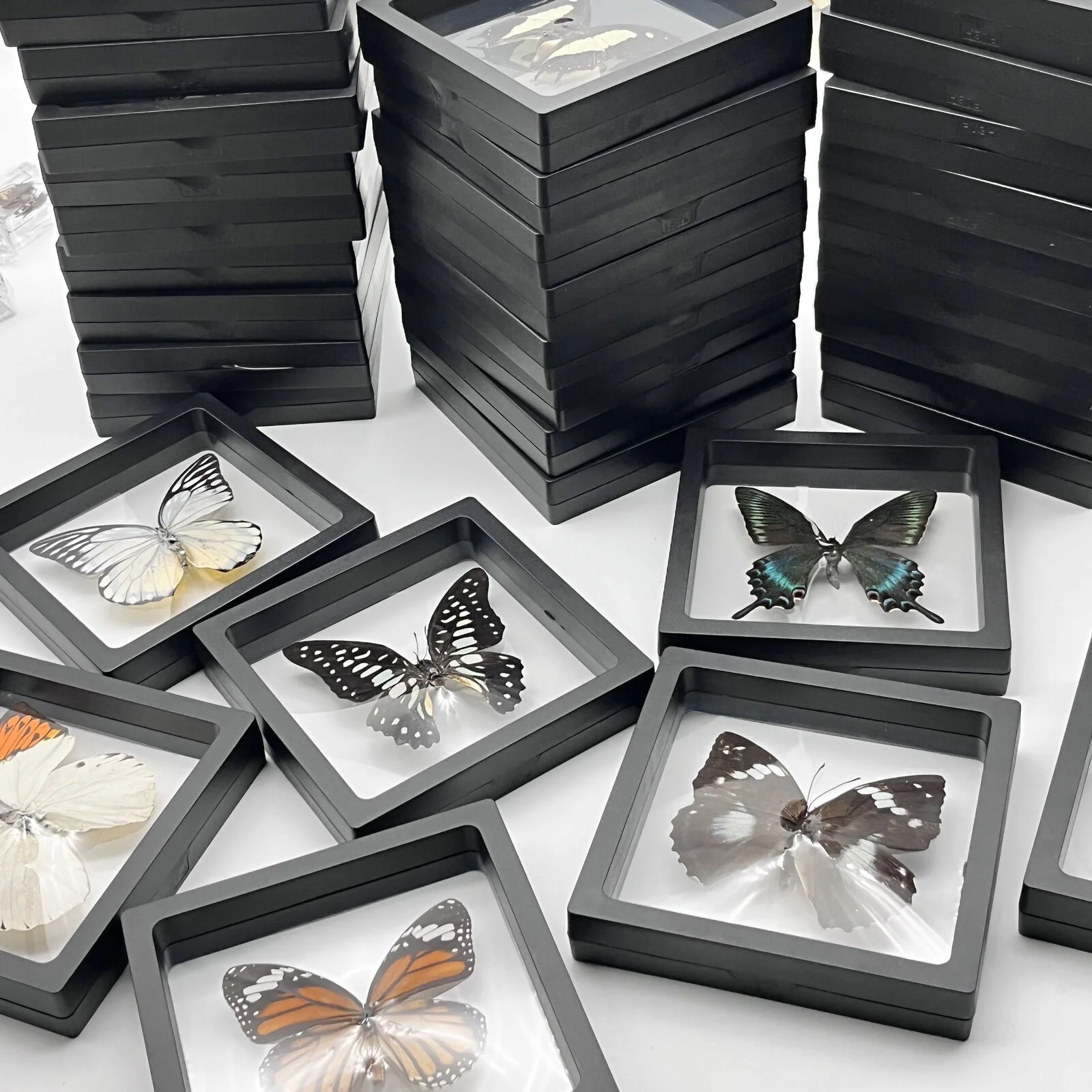 

6 Pcs Real Butterfly Specimen Rare Natural Butterfly Photo Frame Wall Decoration