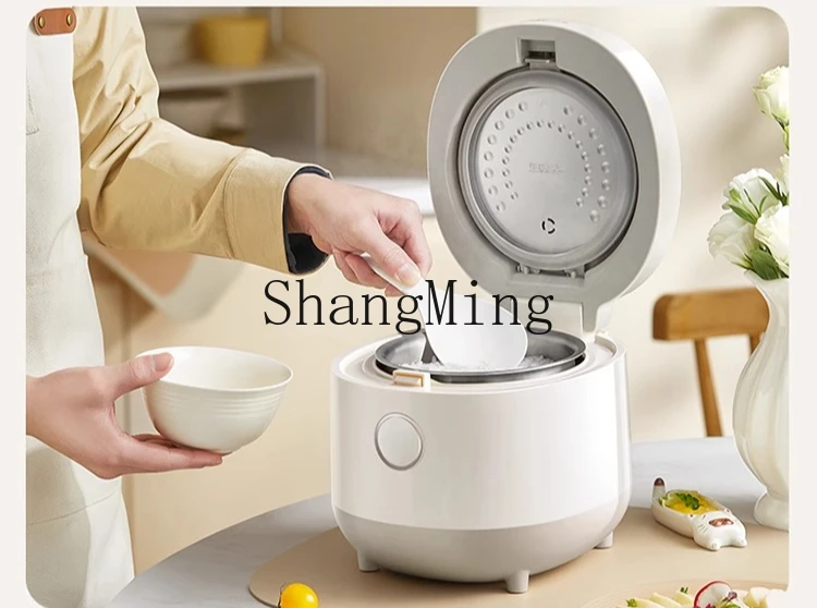 ZYY mini cuociriso piccolo da 1 a 2 persone piccolo cuociriso in acciaio inossidabile 316L