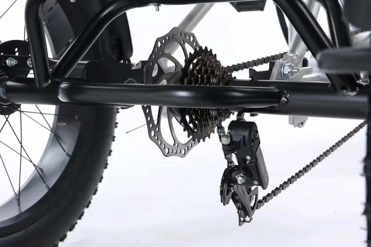 

Electric motorcycle tricycle 800 watt motor 3 wheels lightweight adult electric tricycle