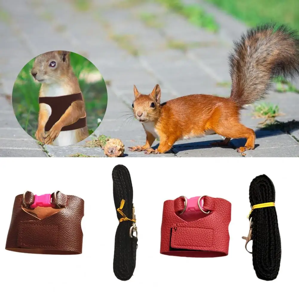 Squirrel Training Rope Squirrel Train Tool Leash Split Vest Small Animals Rabbit Iguana Squirrel Chinchilla Traction Rope